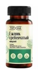 Ежовик гребенчатый с холином и витамином B6 экстракт гинко билоба, ТорБАД капсулы 500 мг 90 шт