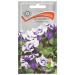 Семена, Дурман метел Балерина Парпл 3 семян